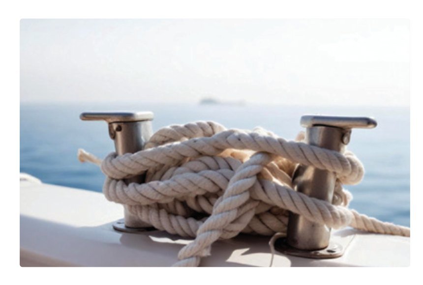 Cruise Liner / Yacht Security